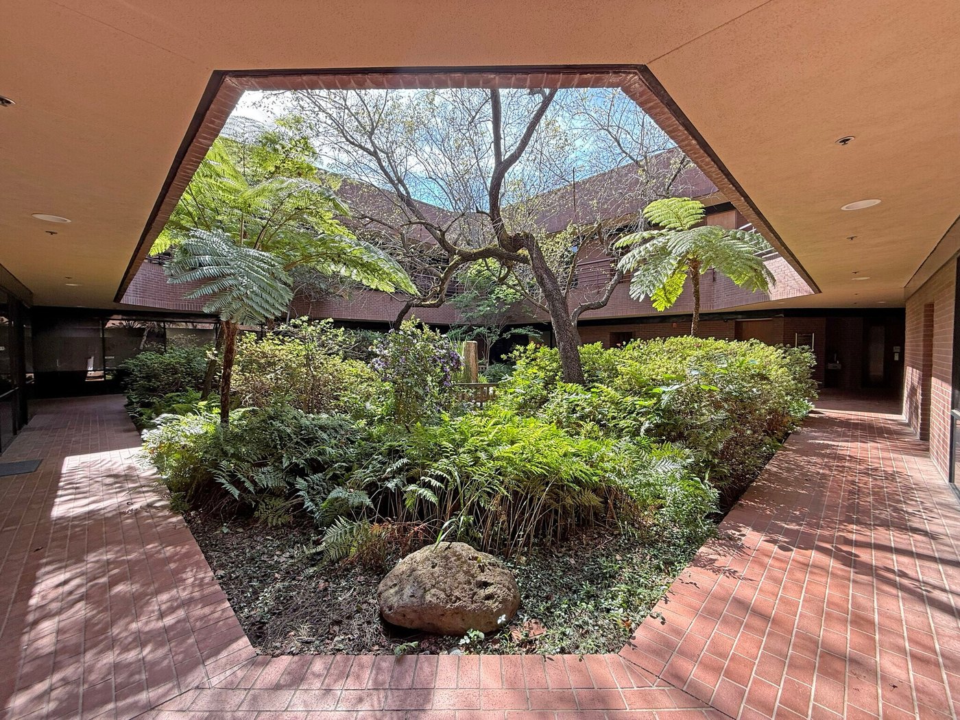 The garden courtyard at our Santa Rosa building